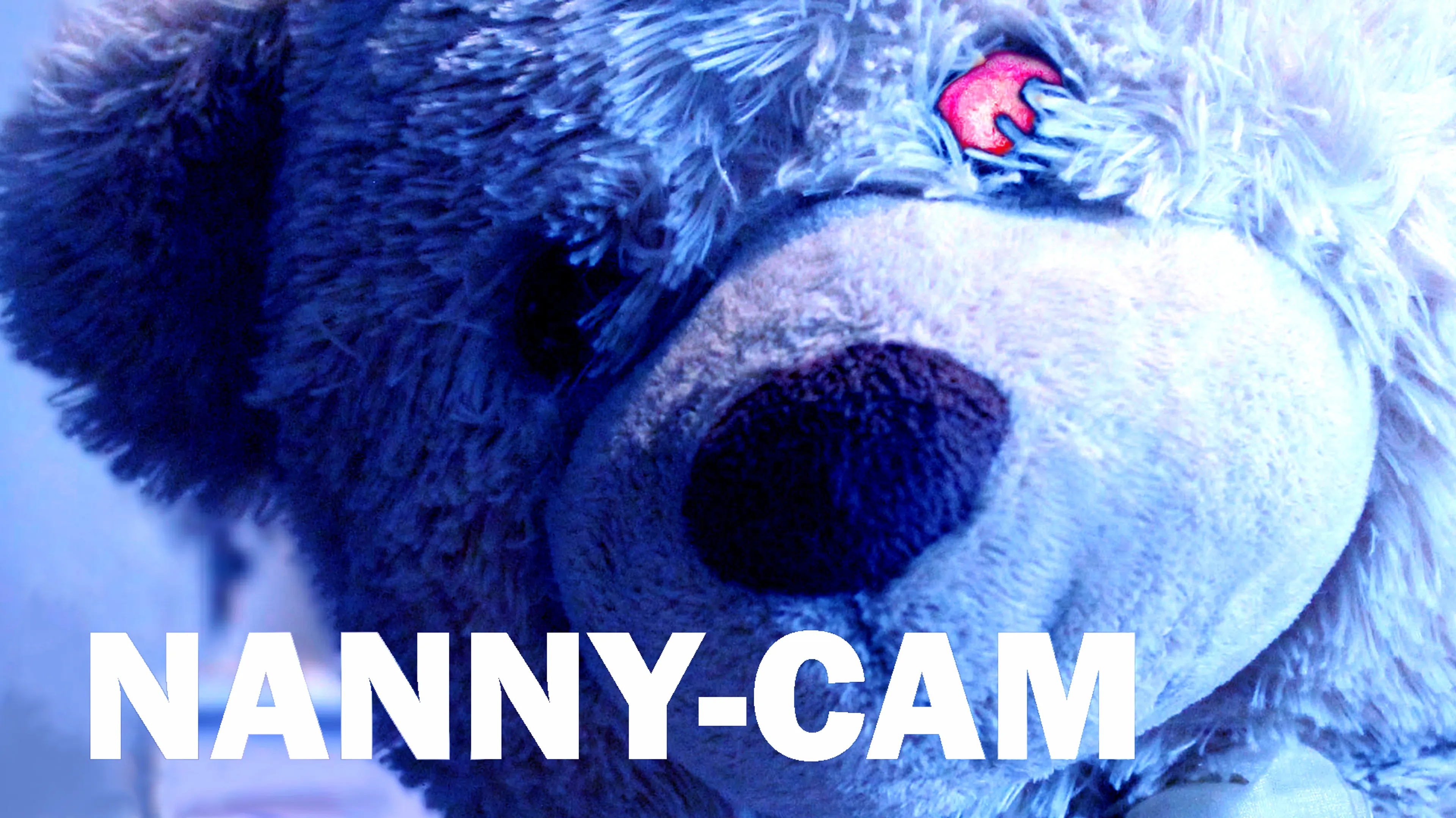 Nanny-Cam poster